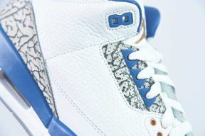 Nike Air Jordan 3 "True Blue and Copper"