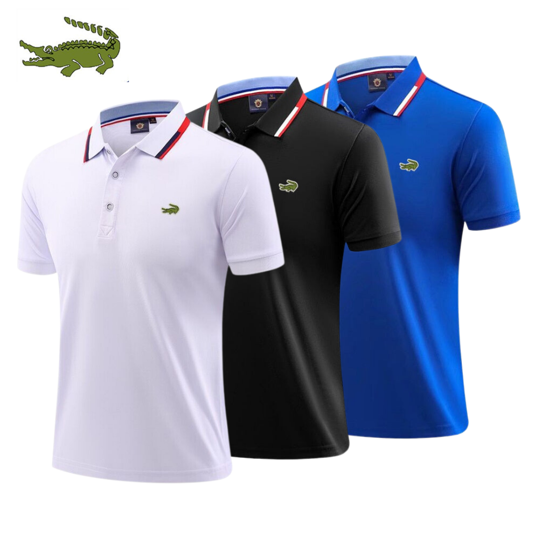 Kit 3 Camisas Polo Dream