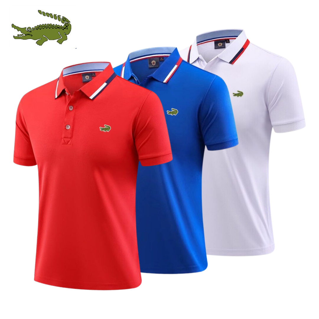 Kit 3 Camisas Polo Dream